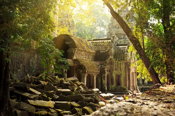 Ta Phrom temple — Stock Photo, Image