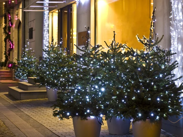 Christmas trees, Moscow — Stock Photo, Image