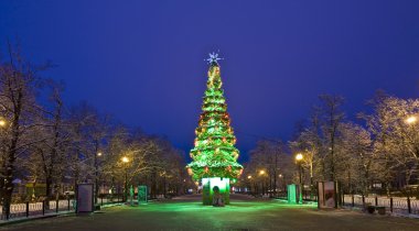 Moskova, Noel ağacı