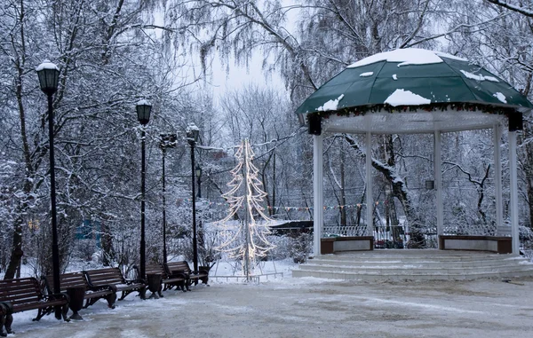 Árvore de Natal no parque, Moscou — Fotografia de Stock