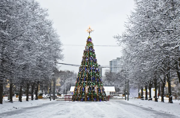 Noel ağacı, Moskova — Stok fotoğraf