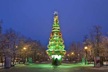 Moskova, Noel ağacı