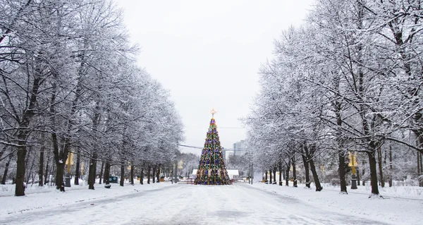 Choinka, Moskwa — Zdjęcie stockowe