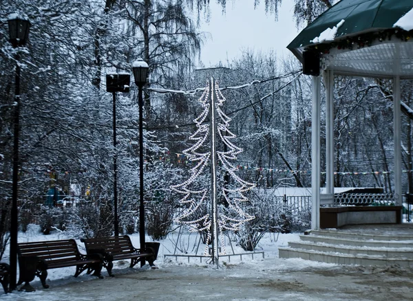 在公园，莫斯科的圣诞树 — 图库照片