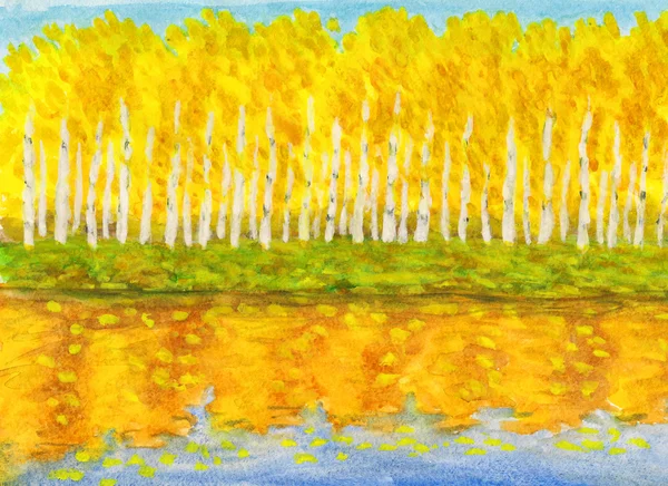 Forêt de bouleau jaune en automne, peinture — Photo