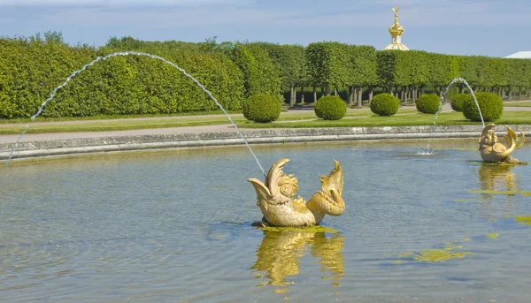 Peterhof, fountains of St. Petersburg.