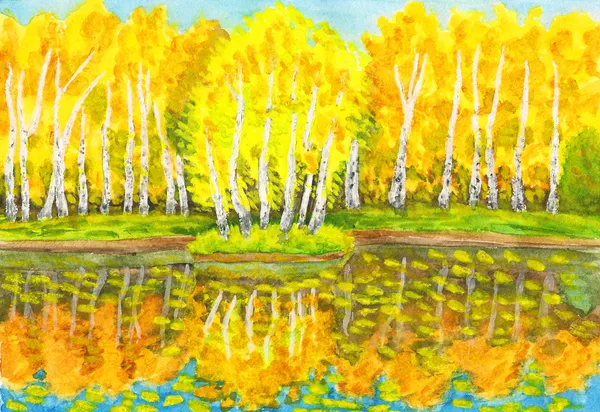Outono, floresta de vidoeiro e pequena ilha com vidoeiros, pintura — Fotografia de Stock