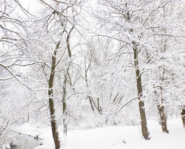 Kış ormanı ve nehir