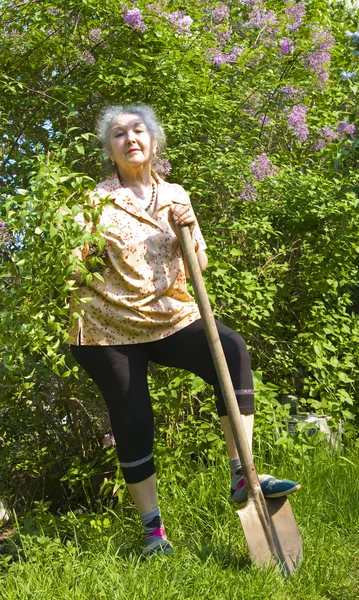 Old lady working in garden — Stock Photo, Image