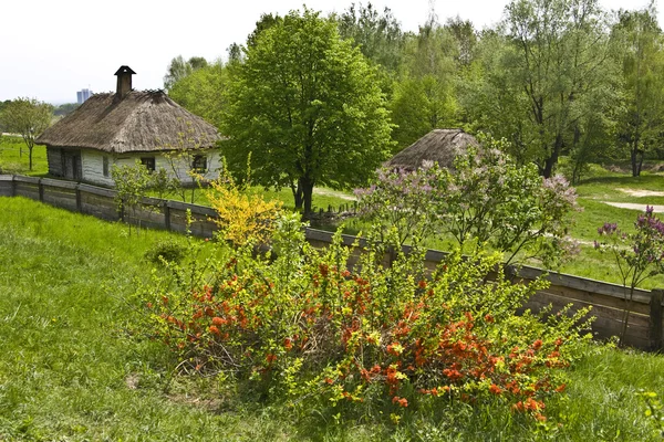 Сільський будинок — стокове фото