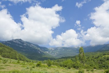 tepeler ve ağaç