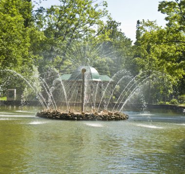 Peterhof çeşme 