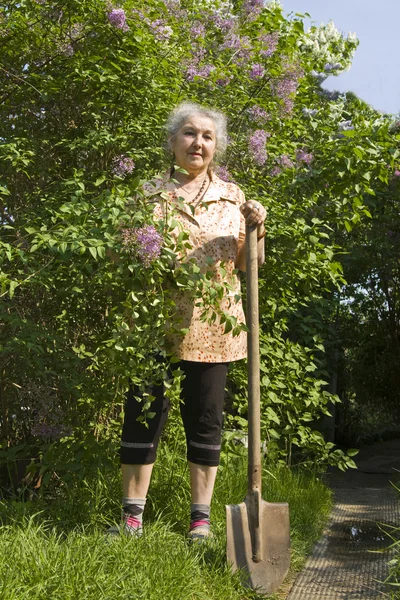 Old lady with lilac — Stock Photo, Image