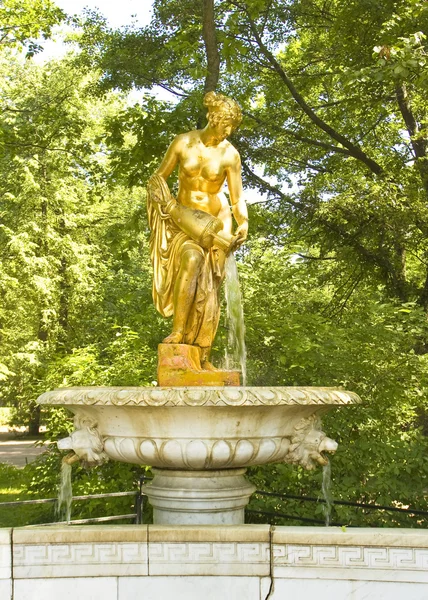 Peterhof, fontanna — Zdjęcie stockowe