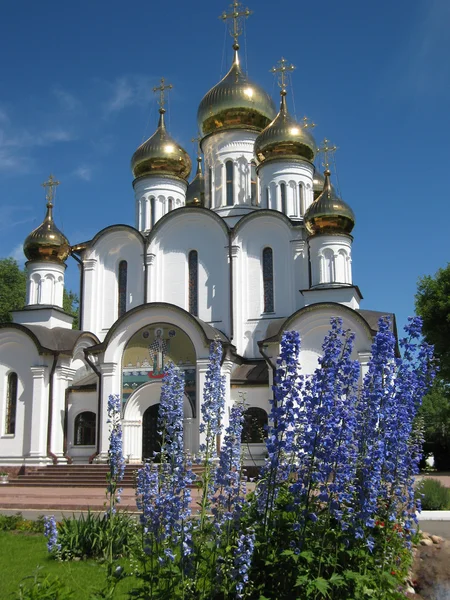 Pereslavl-Zalesskiy, Rusia — Foto de Stock