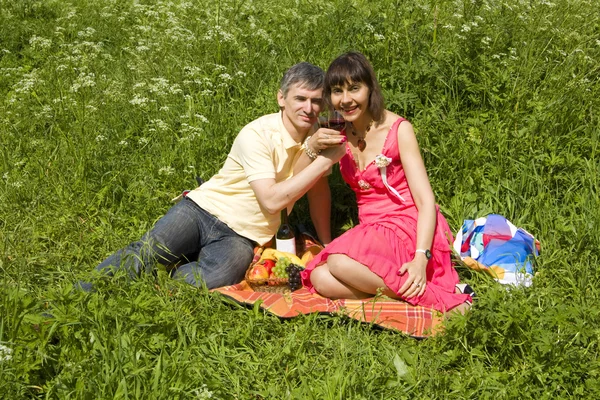 Picnic on grass Royalty Free Stock Images
