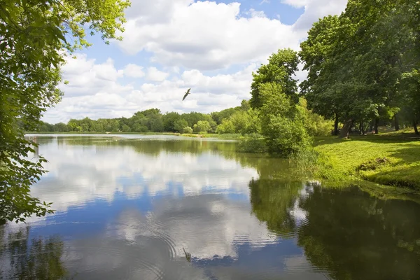 Lac en été — Photo