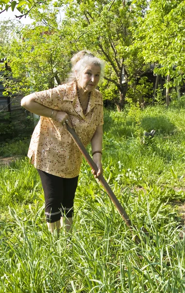 Old lady working in garden — Stock Photo, Image