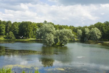 gatchina parkta