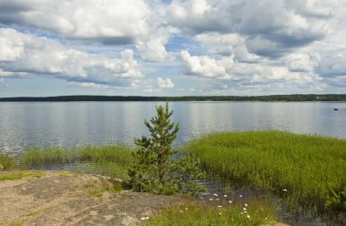 Finlandiya Körfezi üzerinde görüntülemek park monrepo, Rusya Federasyonu