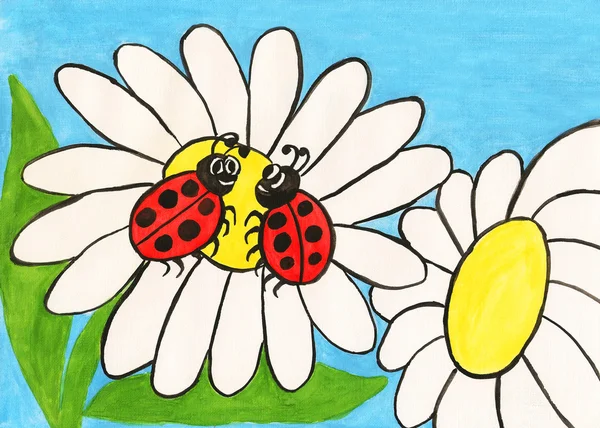 甘菊，画上的两个瓢虫 — 图库照片