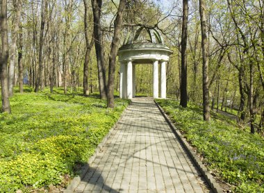 Pavilion ile peyzaj