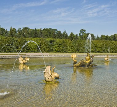 Peterhof, Rusya Federasyonu