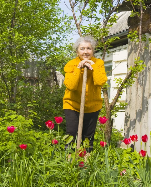 Velha senhora jardinagem — Fotografia de Stock