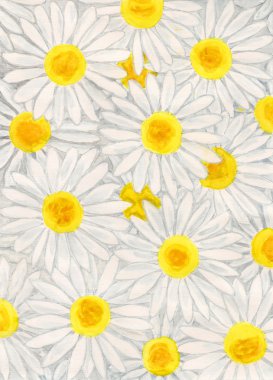 Camomiles