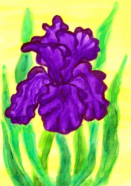Violet iris, painting — Stock Photo, Image