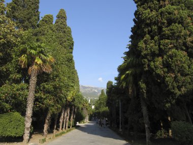 Jalta, Krim