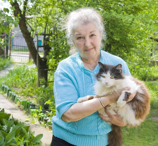 Cat with old lady Stock Photos, Royalty Free Cat with old lady Images