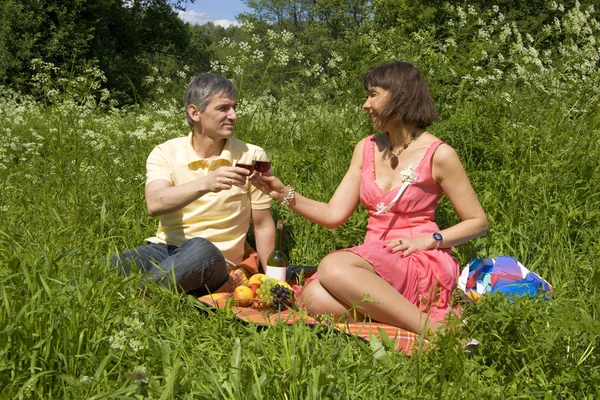 Piknik na trawie — Zdjęcie stockowe