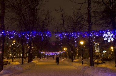 Elektrik Noel çelenk