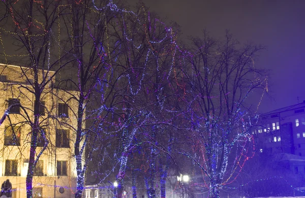 Электрические украшения на елках,, Рождество — стоковое фото