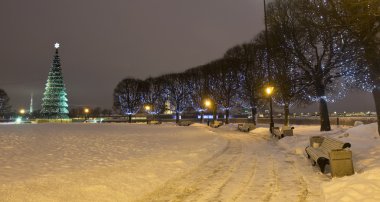 St. Petersburg 'da Noel ağacı