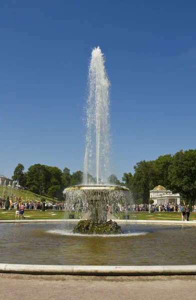 Peterhof, fontana — Foto Stock