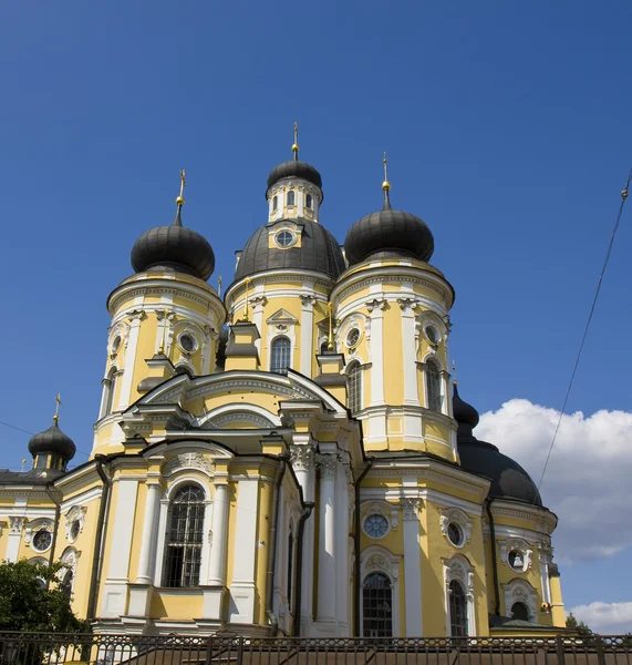 Saint Vladimir cathedral in St. Petersburg — Stock Photo, Image