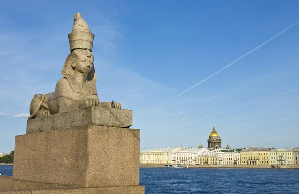 Sint-petersburg, sphinx — Stockfoto