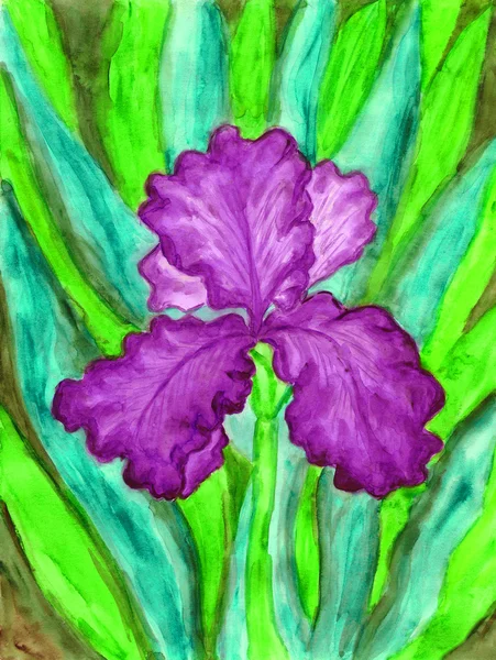Violet iris, painting — Stock Photo, Image