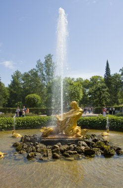 Peterhof, Rusya Federasyonu