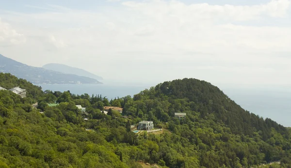 La Crimea, Oleandra — Foto de Stock