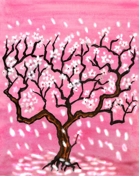 Körsbärsträdet i blossom på rosa bakgrund — Stockfoto