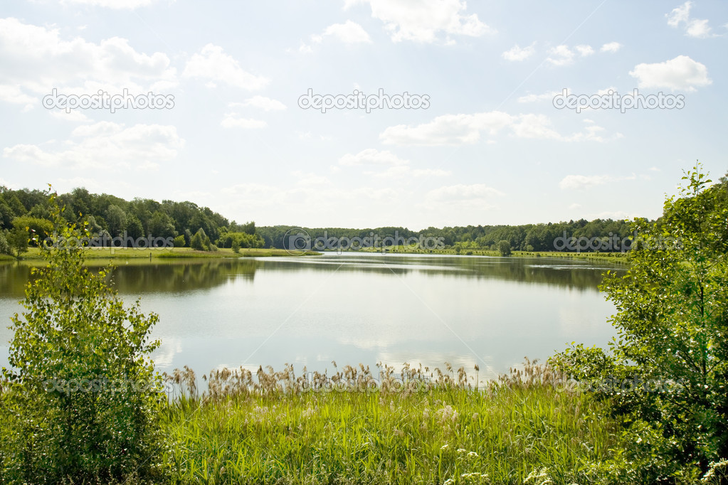 Lake in summer day