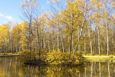 Sonbahar, huş Adası