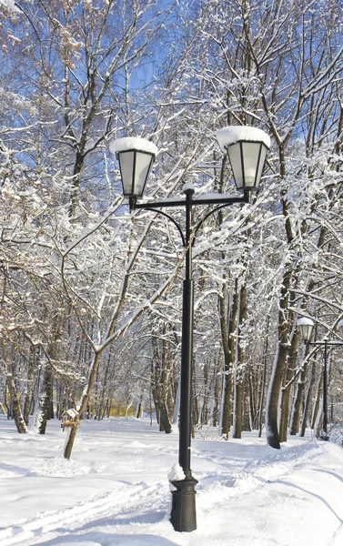 Parco invernale e lampione — Foto Stock
