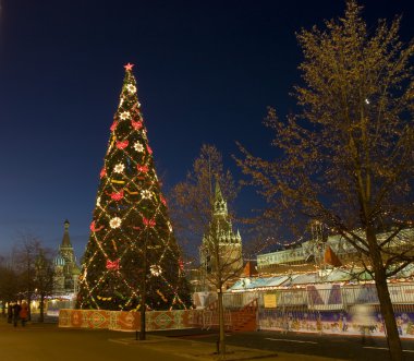 Noel ağacı, Moskova