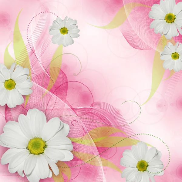 Best Romantic Flower Background — Stock Photo, Image