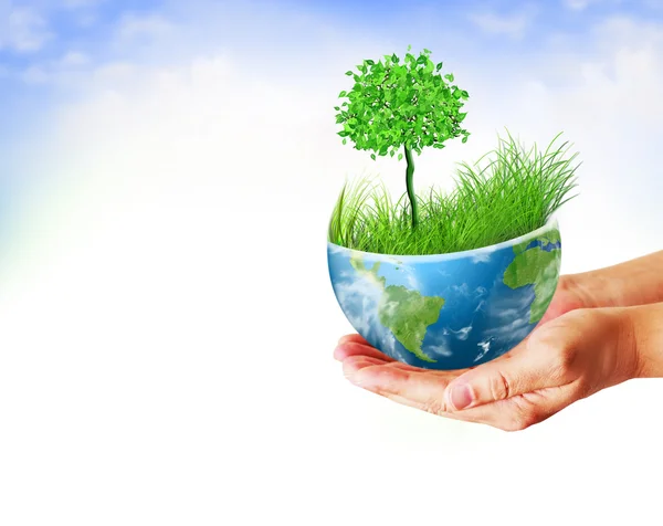 Environmental Concept. Globe and a green tree in the hands — Stock Photo, Image