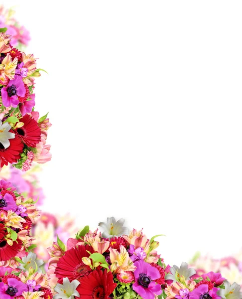 Legjobb romantikus virág háttér — Stock Fotó